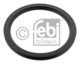 OIL SEAL